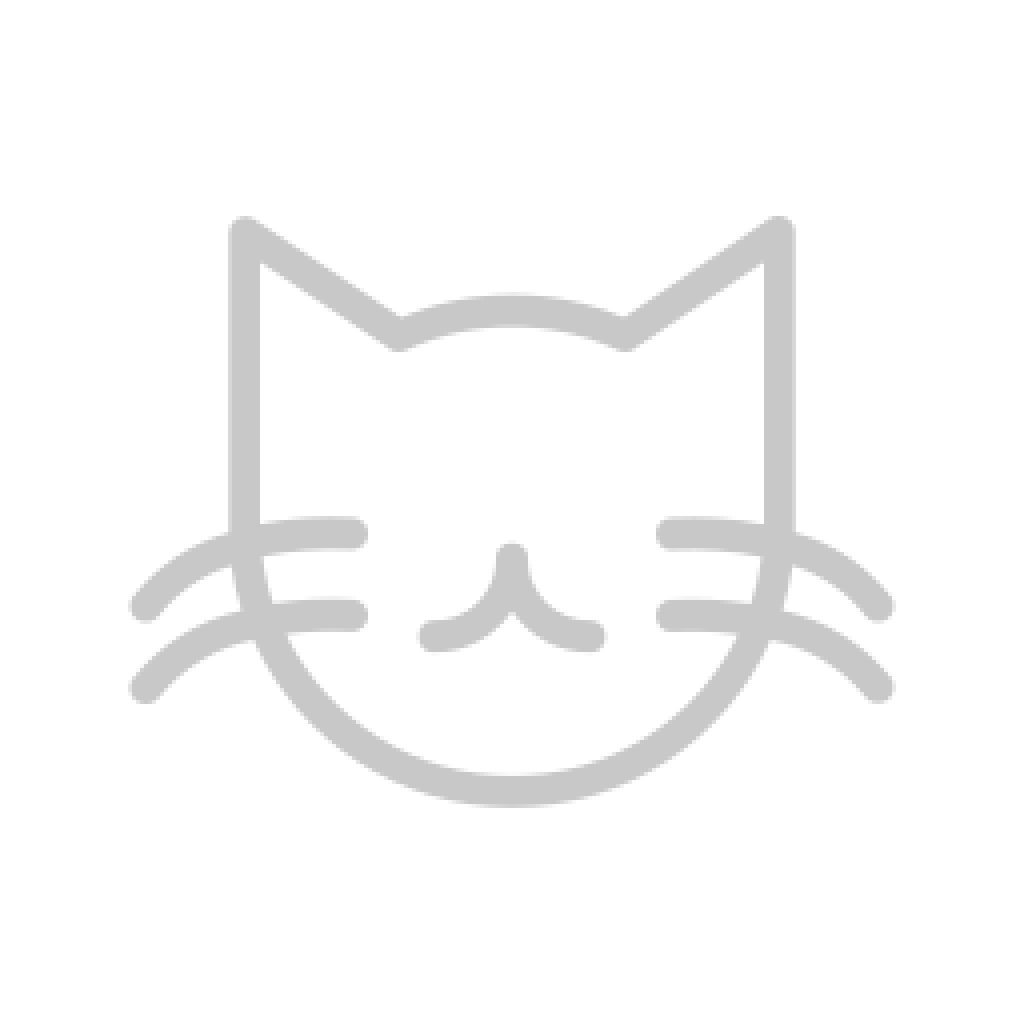 CorrectHR Logo